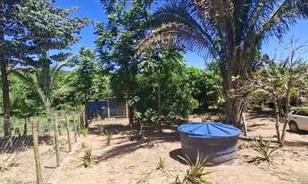 Imagem 6: Vendo Chacara Chácara com venda por R$220.000