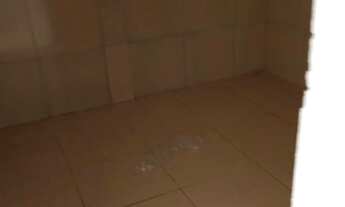 Imagem 7: Vendo ou troco duas casas próximo a ceasa todas com garagem própria . *zap