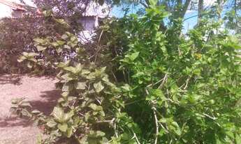 Imagem: Oportunidade imperdivel