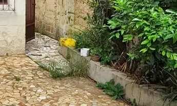 Imagem 7: Central parque a 100m2 av.principal