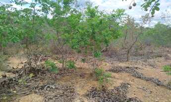 Imagem 4: Chácara 1000 m², excelente oportunidade