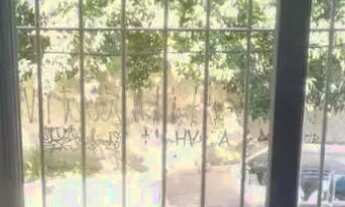 Imagem 5: CASA TÉRREA - VILA PALMARES - SP