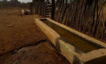 Imagem 6: Excelente Fazenda com 380 hectares na chapada de Apodi-RN