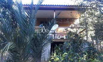 Imagem: Vendo Sítio com 1195,00m2 de terreno com