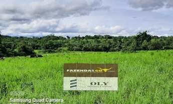 Imagem 2: Fazenda Extra - 40 Alqueires ! Região de Mutunopolis GO