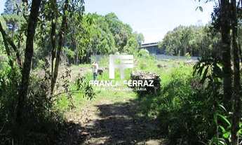 Imagem 2: Terreno, Colombo