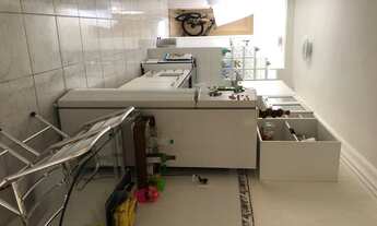 Imagem 3: Jardim de Windsor