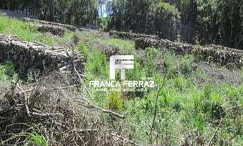 Imagem 7: Terreno, Colombo