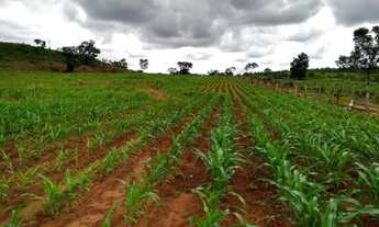 Imagem 1: 231 Alqs Região de Safra e Safrinha Ótima em Tudo Vale do AraguaiaTO