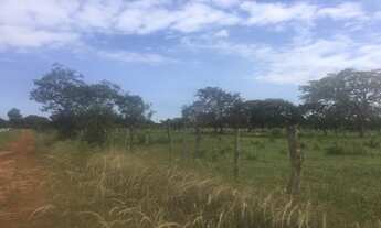 Imagem 6: Terreno no bairro Área Alfa (Santa Maria