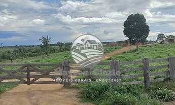 Imagem 2: Machadinho D'Oeste - Fazenda - Machadinho D'Oeste