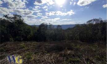 Imagem 2: Terreno Rural para Venda em Campo Largo, São João do Povinho