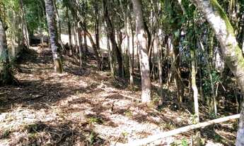 Imagem 6: Terreno, 1250m², excelente condomínio, projeto aprovado, pronto para construir, 40 min da