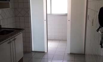 Imagem 2: BARUERI - Padrão - JARDIM PARAÍSO