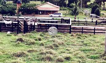 Imagem 6: Theobroma - Sítio - 22.5 Alqueires top