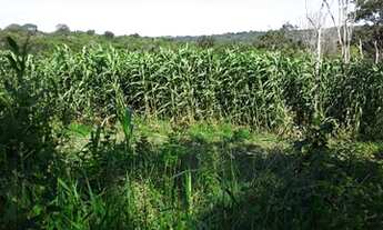 Imagem 4: Vendo sítio de 4 alqueirões próximo a Uberlândia