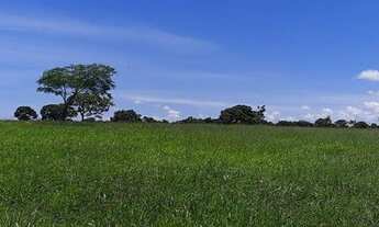 Imagem 7: Belíssima Fazenda Unaí !!! 4.000.000 !!!