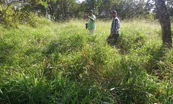 Imagem 6: Fazenda para venda com 37,5Alqueires em Cocalzinho de Goiás