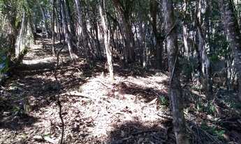 Imagem 7: Terreno, 1250m², excelente condomínio, projeto aprovado, pronto para construir, 40 min da