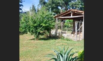 Imagem 7: Fazenda/Sítio/Chácara para venda tem