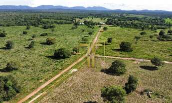 Imagem 4: Fazenda 82 Alqueires, Jaú do Tocantins, TO