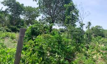 Imagem 5: Terreno no pajuçara Santarém pa