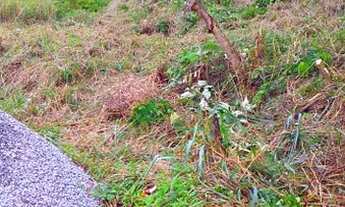 Imagem: Terreno em condomínio fechado com 928 m2