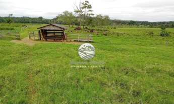 Imagem 4: Ariquemes - Sítio - 42 Alqueires