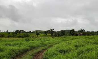 Imagem: Terra 100 alqueires toda formada! nas quatro