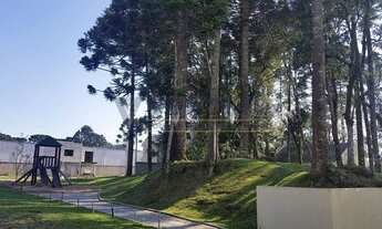 Imagem 7: SAO JOSE DOS PINHAIS - Terreno Padrão - Iná