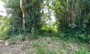 Imagem 3: Chácara/Sitio em Porto Belo/SC