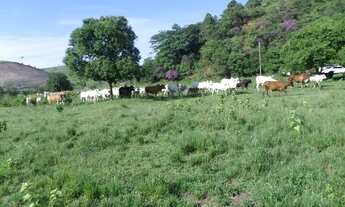 Imagem 6: Fazenda para Venda em Silva Jardim, 3 dormitórios, 1 suíte, 2 banheiros