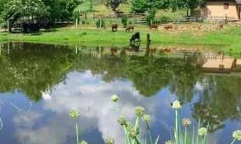 Imagem 2: TAQUARI - Terreno Padrão - Interior