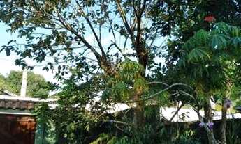 Imagem 7: Oportunidade Casa 3 dormitorios R$ 240.000.00