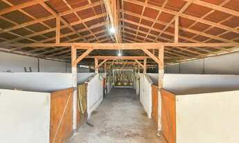 Imagem 5: Campo Largo, 52 alqueires / Confinamento Gado/ Haras