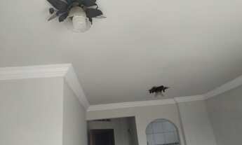 Imagem 6: ALUGA-SE ÓTIMO IMÓVEL 2/4 - VILA LAURA