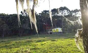 Imagem 2: Sítio na Barragem do Salto em São Francisco de Paula!
