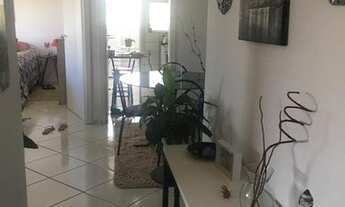 Imagem 6: Apartamentos 2 Dormitórios para venda e locação em São