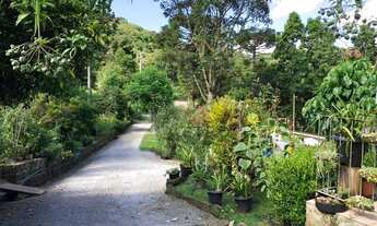 Imagem 6: Sítio no bairro Carazal em Gramado!