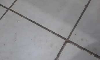 Imagem: Alguma casa pra alugar na zona norte