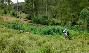 Imagem 2: Terreno de dois hequitares baratos