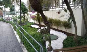 Imagem 3: Alugo Apartamento com 2 dormitórios