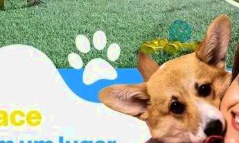 Imagem: Apartamento 2 quartos próximo ao shopping