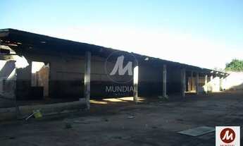 Imagem 7: Salão/Galpão (salão - térreo