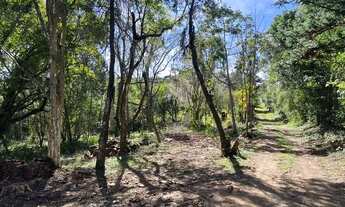 Imagem 6: Sítio Com Entrada De 4.900 E Parcelas De 650. ROB:774