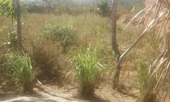 Imagem: Terreno 10mil