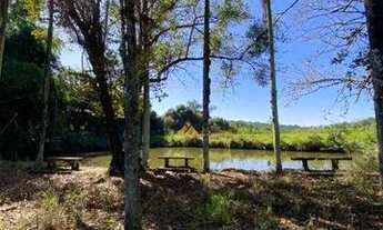 Imagem 6: Sítio com 4 dormitórios à venda, 242000 m² por R$ 4.500.000,00 - Rural - Serra Azul/SP