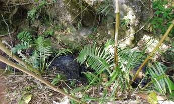 Imagem 6: Morada donsossego