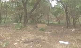 Imagem 6: Terreno à venda, 3201 m² por R$ 1.800.000,00 - Residencial Luana Park - Goiânia/GO