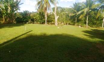 Imagem 6: Fazenda Vale do Rio de Contas, 72 hectares, fundo Rio de Contas, Itacaré,Bahia